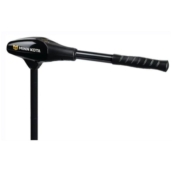 Moteur Électrique Minn Kota Endura C2 V2 40LBS, 12v, 91cm